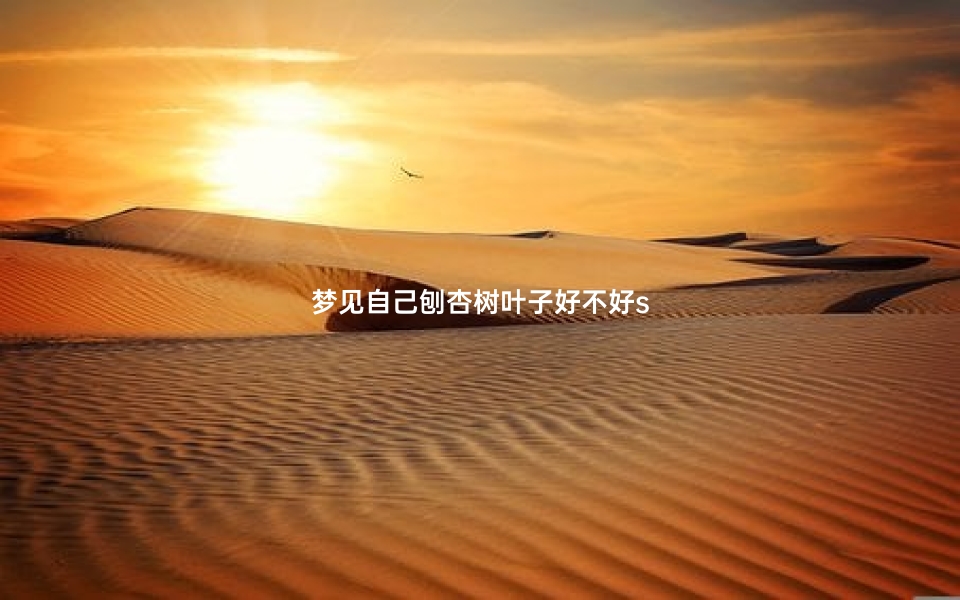 梦见自己刨杏树叶子好不好s