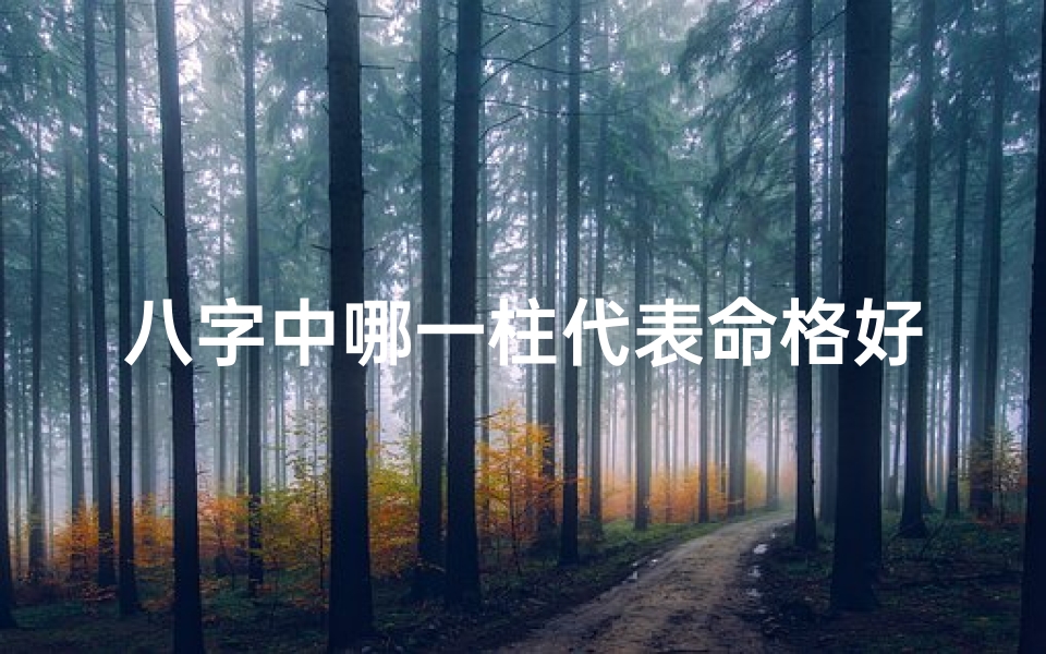 八字中哪一柱代表命格好？揭秘人生运势关键