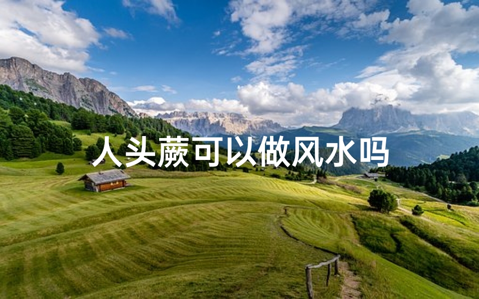 人头蕨可以做风水吗