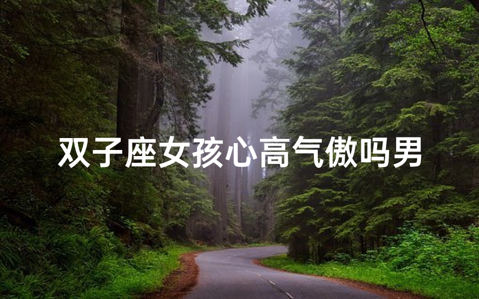 双子座女孩心高气傲吗男生-双子座女孩的心高气傲，如何征服傲娇男生？