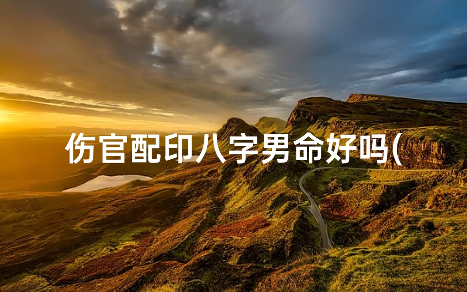 伤官配印八字男命好吗(《伤官配印八字男命:命运解析与人生启示》)