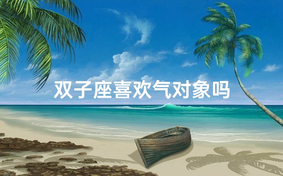 双子座喜欢气对象吗