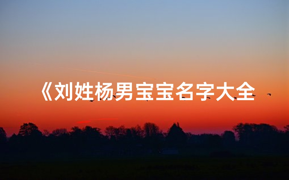 《刘姓杨男宝宝名字大全:精选三字佳名集锦》