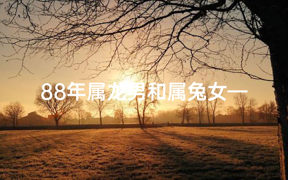 88年属龙男和属兔女—龙凤呈祥：88年属龙男与属兔女的爱情传奇
