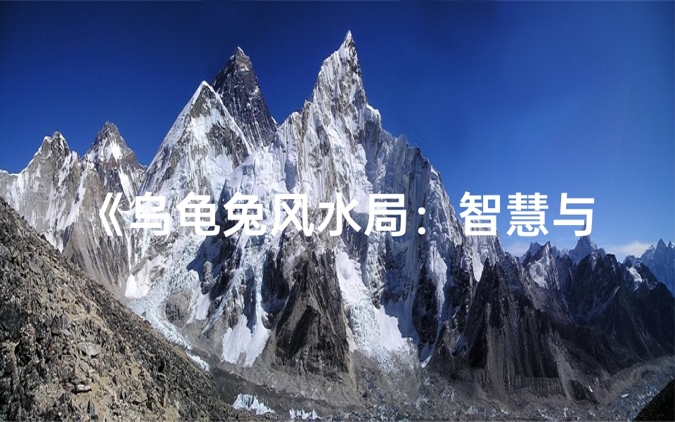 《乌龟兔风水局:智慧与速度的较量》