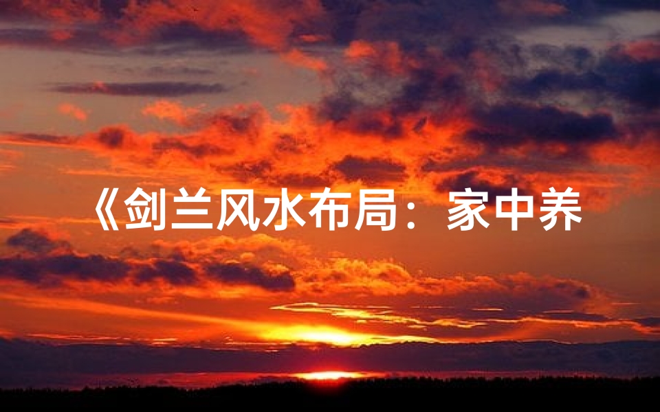 《剑兰风水布局:家中养兰的吉祥之道》
