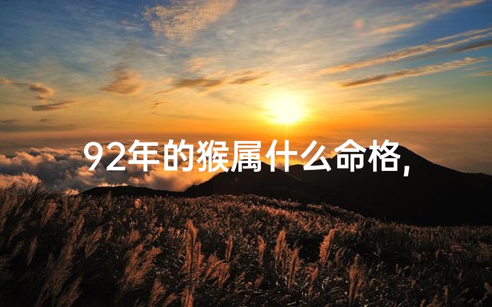 92年的猴属什么命格,92年属猴是什么命呢-算卦网