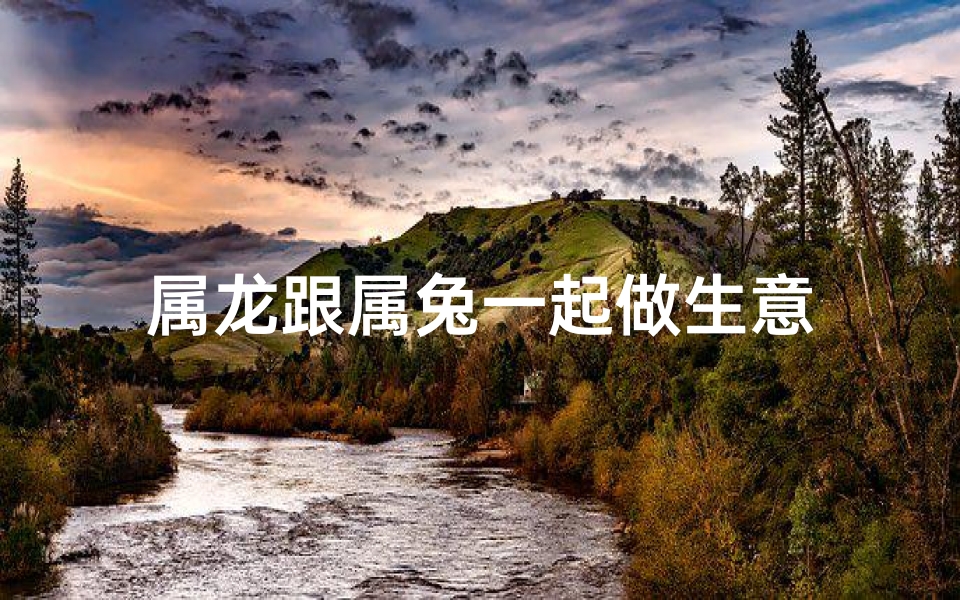 属龙跟属兔一起做生意