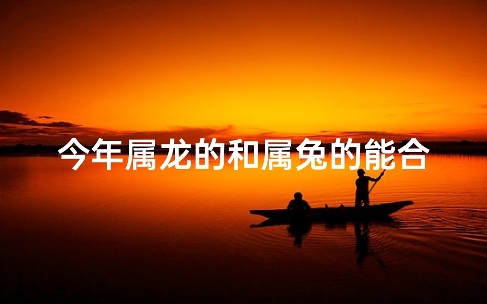 今年属龙的和属兔的能合作