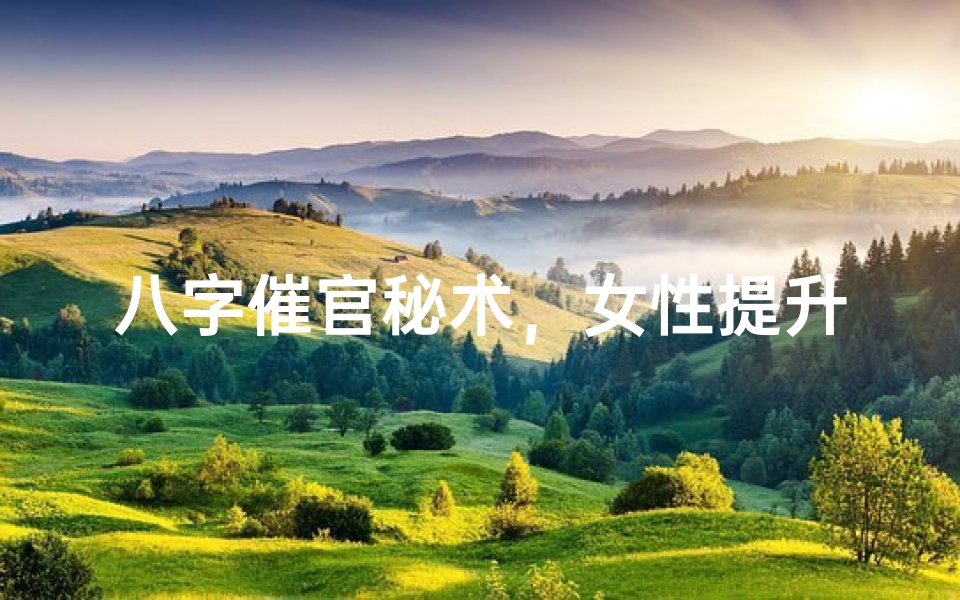 八字催官秘术,女性提升运势新篇章