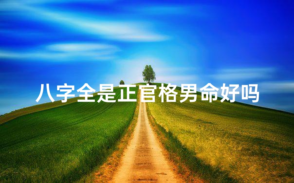 八字全是正官格男命好吗—八字正官很多