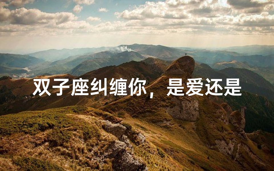 双子座纠缠你,是爱还是纠缠?
