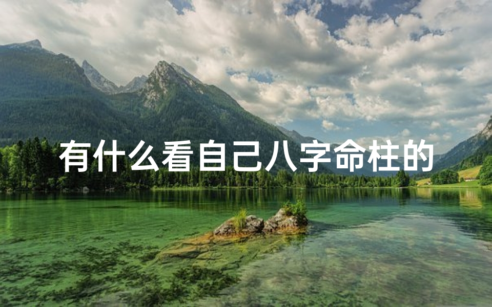 有什么看自己八字命柱的app、《八字命柱一扫即知,精准命理APP推荐》
