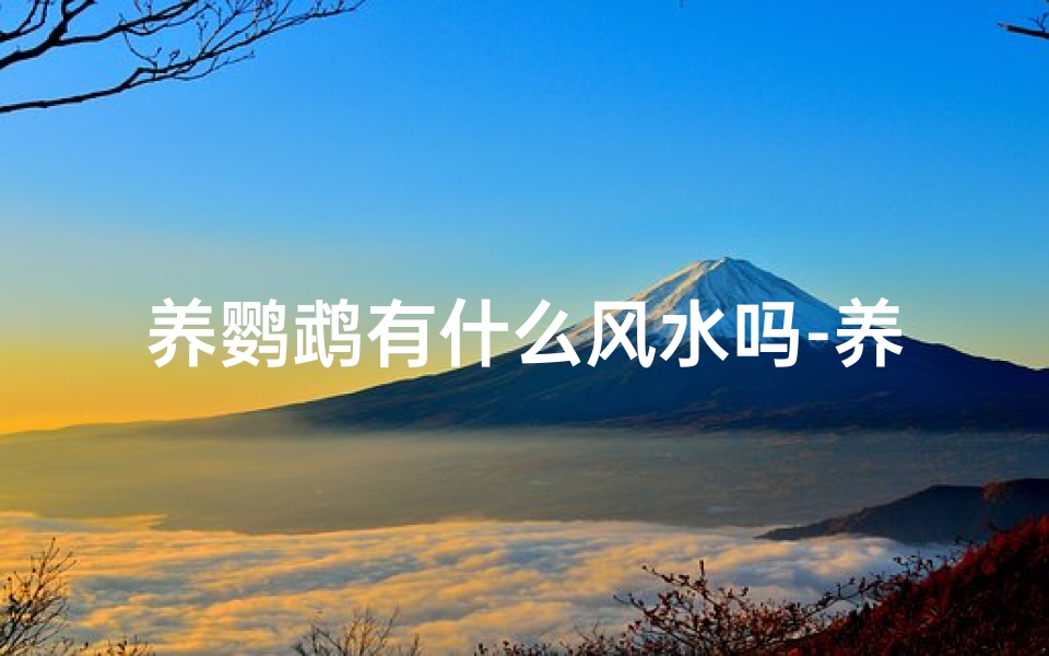 养鹦鹉有什么风水吗-养鹦鹉的风水好处