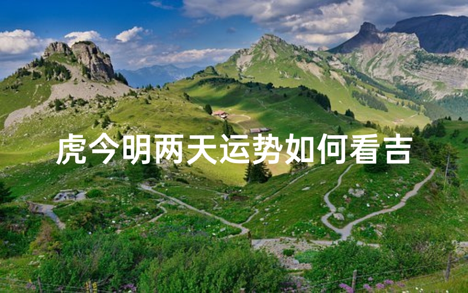 虎今明两天运势如何看吉凶,生肖虎明日运势查询星座网