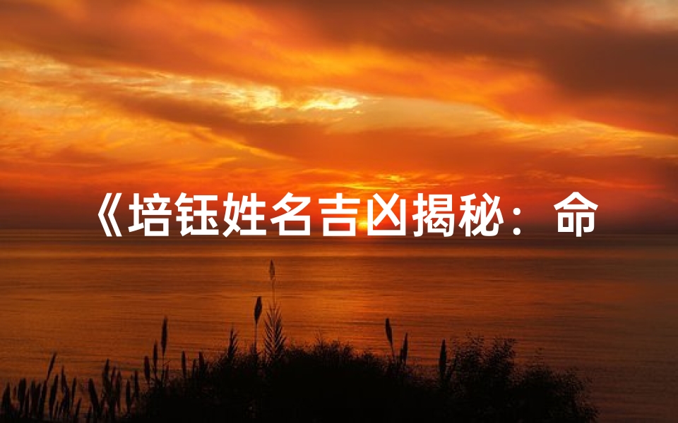 《培钰姓名吉凶揭秘：命运密码大解析》