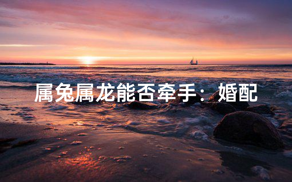 属兔属龙能否牵手:婚配奥秘大揭秘-算卦网