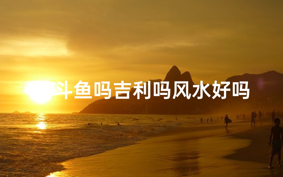养斗鱼吗吉利吗风水好吗