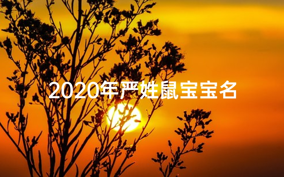 2020年严姓鼠宝宝名字,2020严姓鼠宝宝：喜庆吉祥好名字揭晓