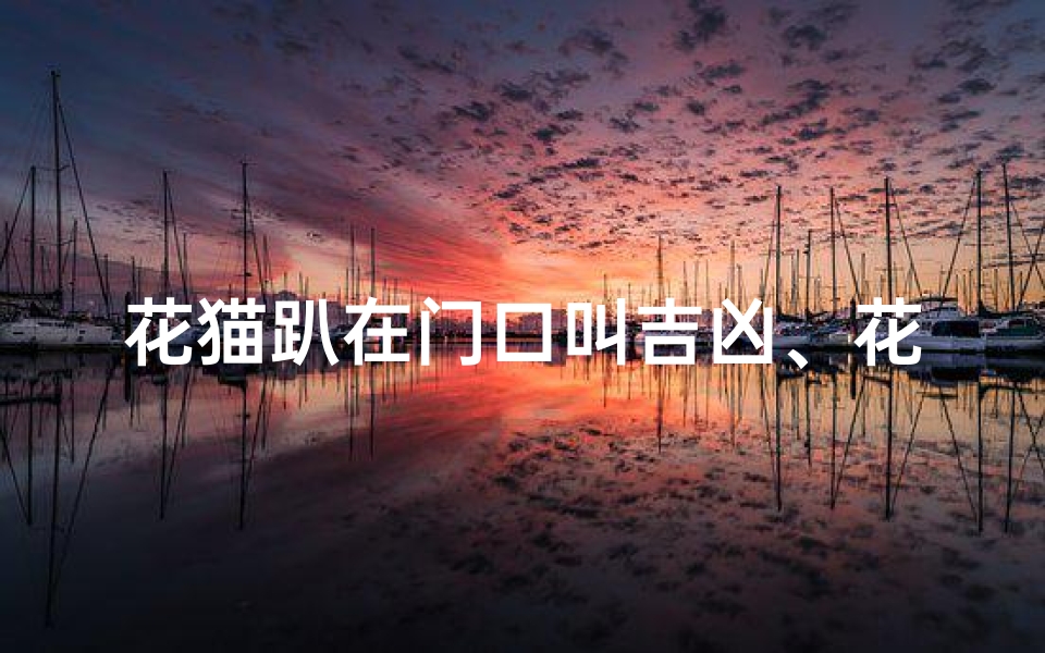 花猫趴在门口叫吉凶、花猫趴在门口叫吉凶怎么办