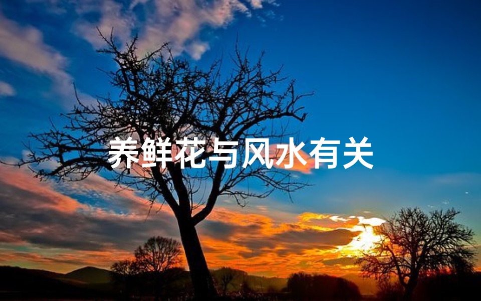 养鲜花与风水有关