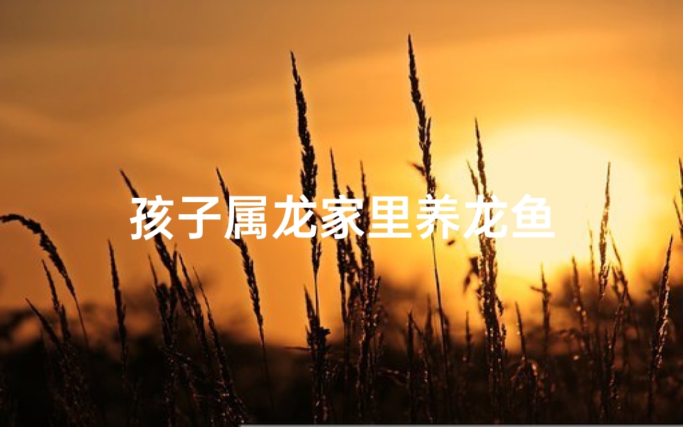 孩子属龙家里养龙鱼