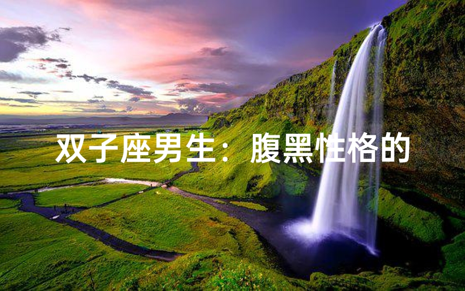 双子座男生:腹黑性格的神秘魅力