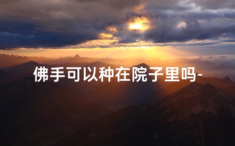 佛手可以种在院子里吗-佛手在家种植风水宜忌解析