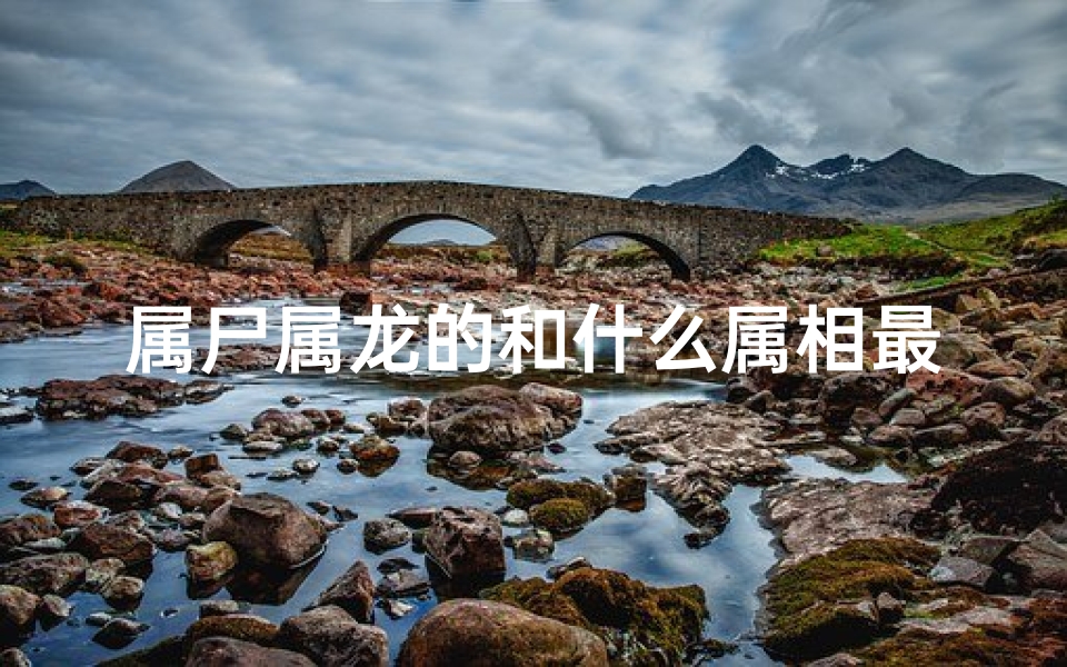 属尸属龙的和什么属相最配—属龙的和什么属相配合-算卦网