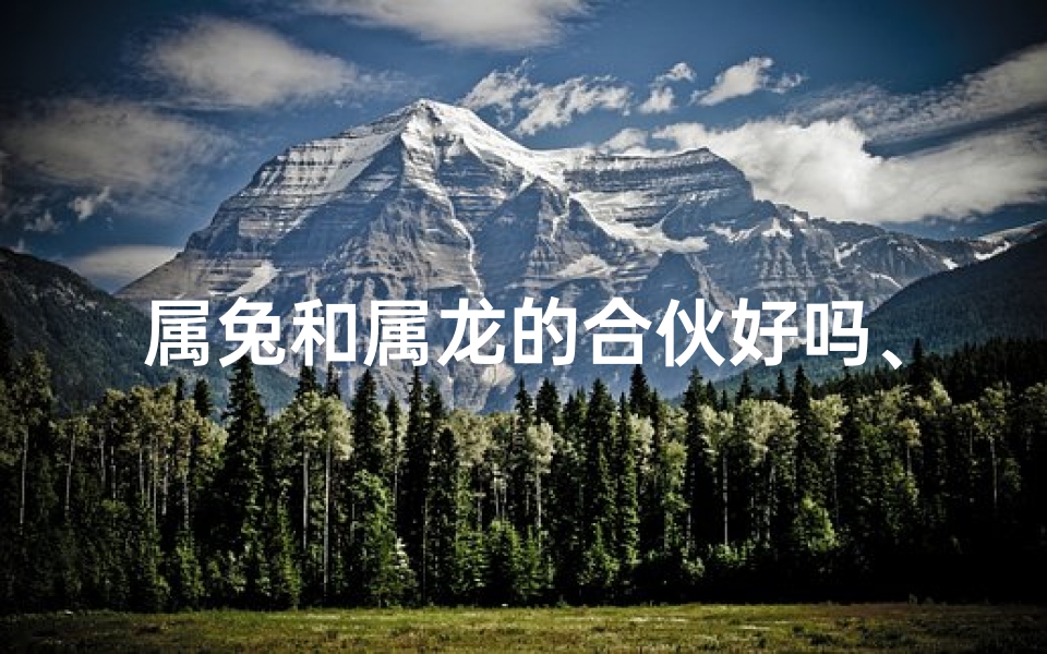 属兔和属龙的合伙好吗、属兔和属龙能合伙做生意吗