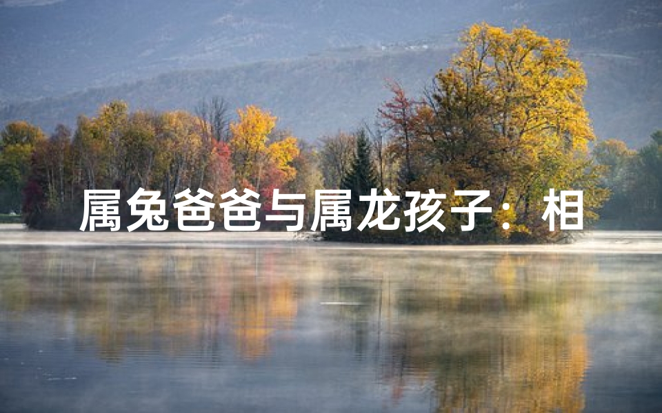 属兔爸爸与属龙孩子:相冲还是互补?
