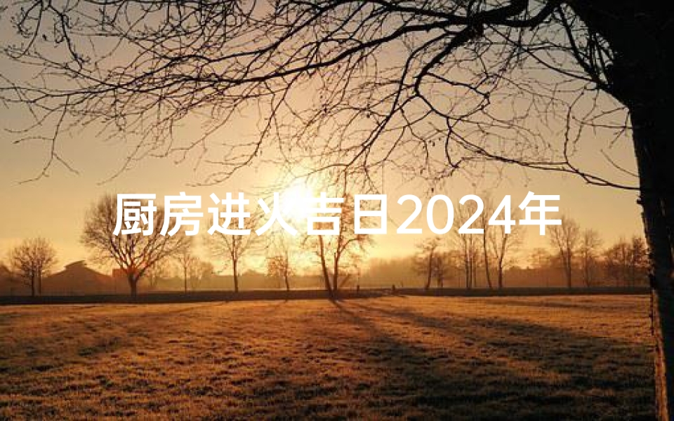 厨房进火吉日2024年