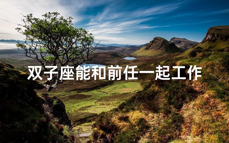双子座能和前任一起工作吗知乎—双子座与前任共事:是机遇还是挑战?