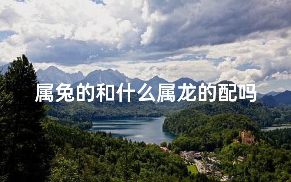 属兔的和什么属龙的配吗,属兔的和属龙的配不配-算卦网
