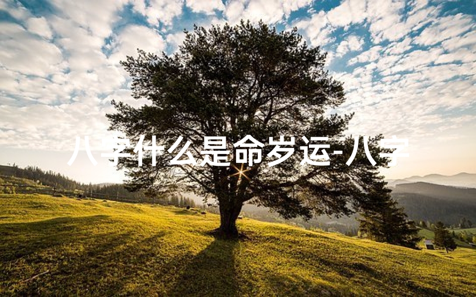 八字什么是命岁运-八字什么是命岁运好的