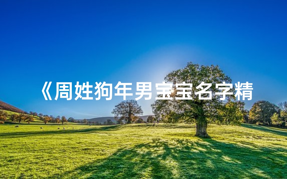 《周姓狗年男宝宝名字精选大全》