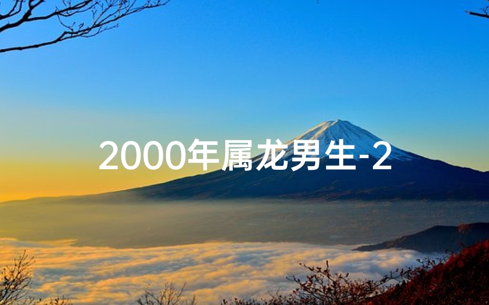 2000年属龙男生-2000年属龙男性命运揭秘:运势起伏与人生轨迹