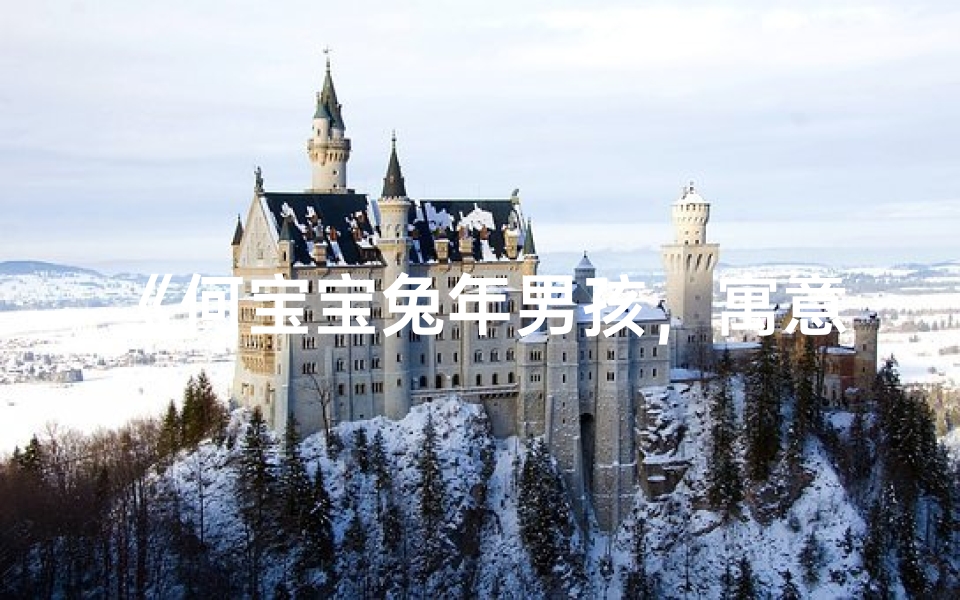 《何宝宝兔年男孩,寓意吉祥的名字揭晓》