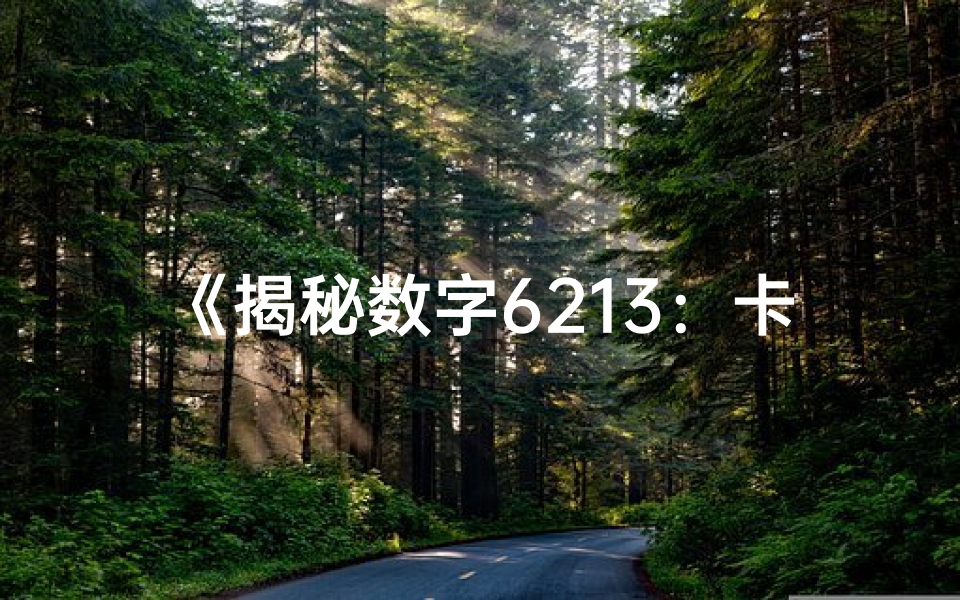 《揭秘数字6213:卡号尾数吉凶之谜》