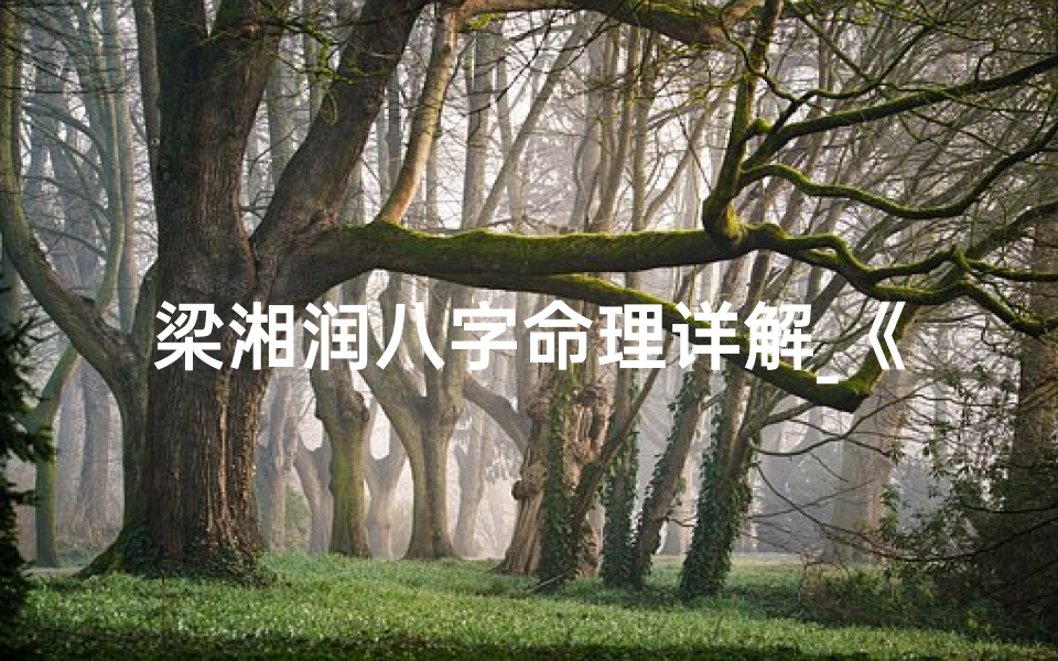 梁湘润八字命理详解_《梁湘润大师揭秘八字命理:经典案例分析》