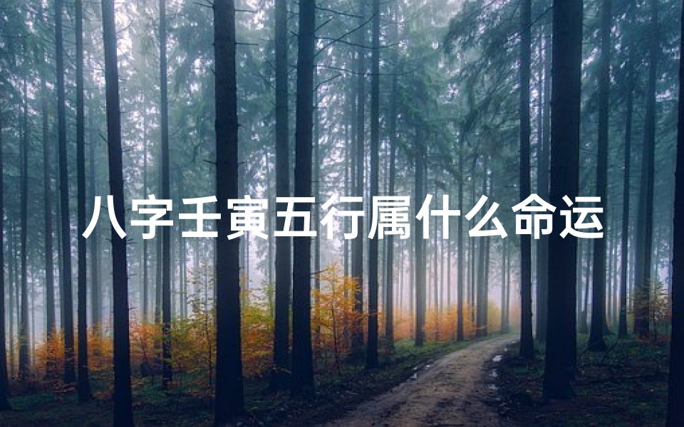 八字壬寅五行属什么命运_壬寅年五行属什么命?揭秘你的命理运势
