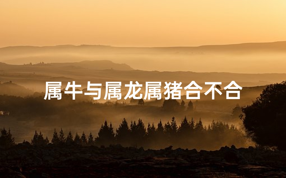 属牛与属龙属猪合不合-算卦网