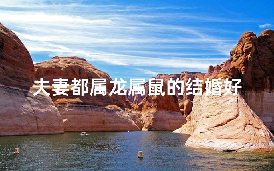 夫妻都属龙属鼠的结婚好吗