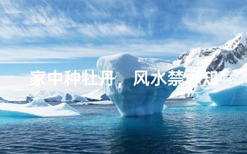 家中种牡丹,风水禁忌知多少?