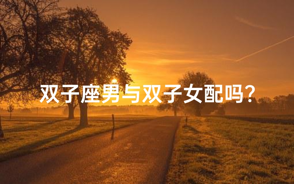 双子座男与双子女配吗?天生绝配