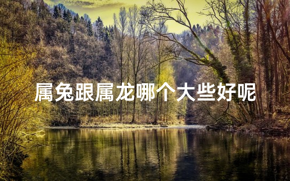 属兔跟属龙哪个大些好呢女(属兔属龙谁更胜一筹?)-算卦网