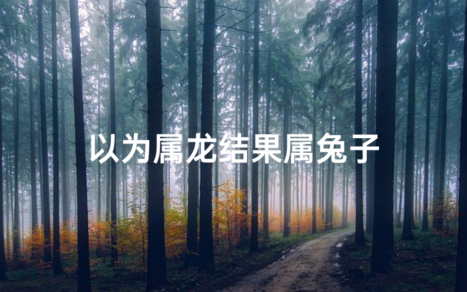 以为属龙结果属兔子