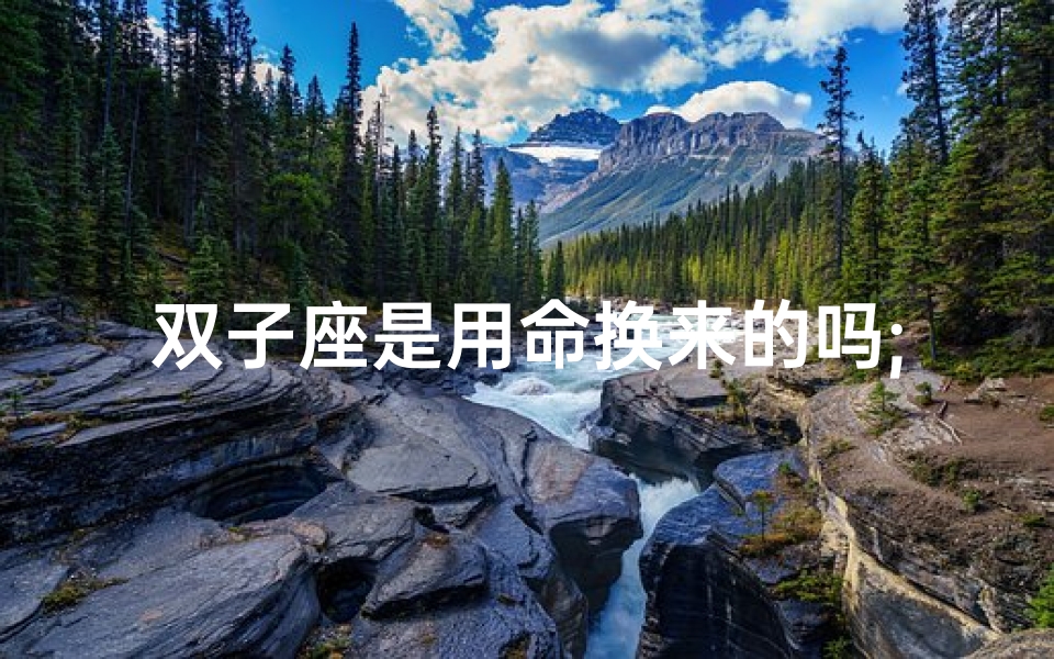 双子座是用命换来的吗;双子座应该是