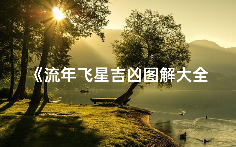 《流年飞星吉凶图解大全:揭秘命运密码》