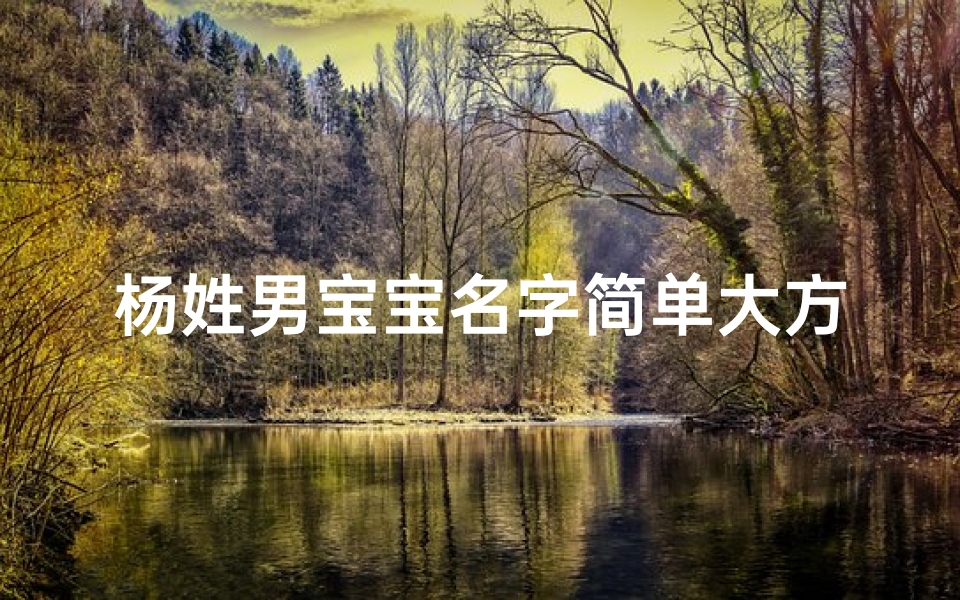 杨姓男宝宝名字简单大方-算卦网